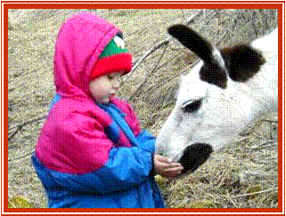 Confiance mutuelle
