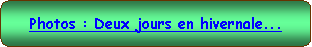 Rectangle  coins arrondis: Photos : Deux jours en hivernale...