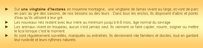 Zone de Texte: Sur une vingtaine d�hectares en moyenne montagne,  une vingtaine de lamas vivent au large, et vont de parc en parc au gr� des saisons, de nos besoins ou des leurs . Dans tous les enclos, Ils disposent d�abris et points d�eau qu�ils utilisent � leur gr�.Les nouveaux n�s restent avec leur m�re au minimum jusqu�� 6-8 mois, �ge normal du sevrage.Les animaux vivent en troupeau, aucun n�est jamais seul. Ils viennent se faire cajoler, nourrir, soigner ou mettre le licol lorsque c�est le moment.Ils sont r�guli�rement surveill�s, manipul�s ou entra�n�s. Ils deviennent vite familiers et dociles, tout en gardant leur rusticit� et leurs rythmes naturels.
