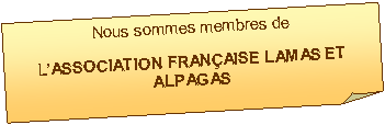 Carr corn: Nous sommes membres de  lAssociation Franaise Lamas et Alpagas