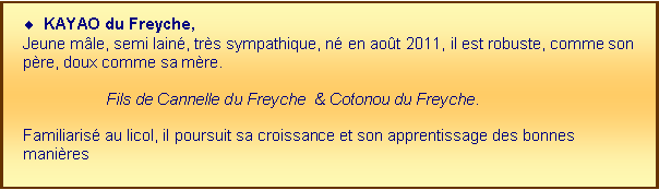 Zone de Texte: KAYAO du Freyche, Jeune mle, semi lain, trs sympathique, n en aot 2011, il est robuste, comme son pre, doux comme sa mre.		Fils de Cannelle du Freyche  & Cotonou du Freyche.
Familiaris au licol, il poursuit sa croissance et son apprentissage des bonnes manires