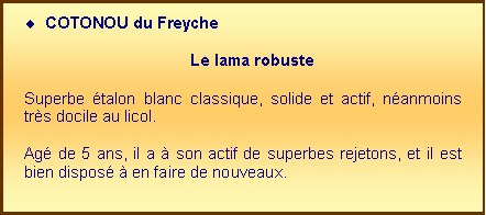 Zone de Texte: COTONOU du Freyche 

				Le lama robuste Superbe talon blanc classique, solide et actif, nanmoins trs docile au licol.  Ag de 5 ans, il a  son actif de superbes rejetons, et il est bien dispos  en faire de nouveaux. 
