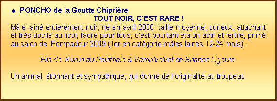 Zone de Texte: Poncho de la Goutte ChiprireTOUT NOIR, CEST RARE ! Mle lain entirement noir, n en avril 2008, taille moyenne, curieux, attachant et trs docile au licol; facile pour tous, cest pourtant talon actif et fertile, prim au salon de  Pompadour 2009 (1er en catgorie mles lains 12-24 mois) .  Fils de  Kurun du Pointhaie & Vampvelvet de Briance Ligoure.
Un animal  tonnant et sympathique, qui donne de loriginalit au troupeau