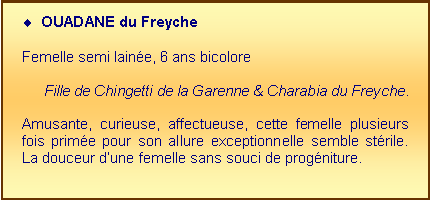 Zone de Texte: OUADANE du Freyche 
Femelle semi laine, 6 ans bicoloreFille de Chingetti de la Garenne & Charabia du Freyche.
Amusante, curieuse, affectueuse, cette femelle plusieurs fois prime pour son allure exceptionnelle semble strile. La douceur dune femelle sans souci de progniture.