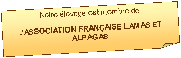 Carr� corn�: Notre �levage est membre de  l�Association Fran�aise Lamas et Alpagas